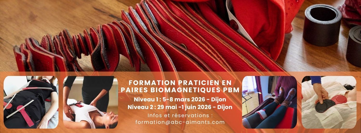 Formations paires biomagnétiques 2026